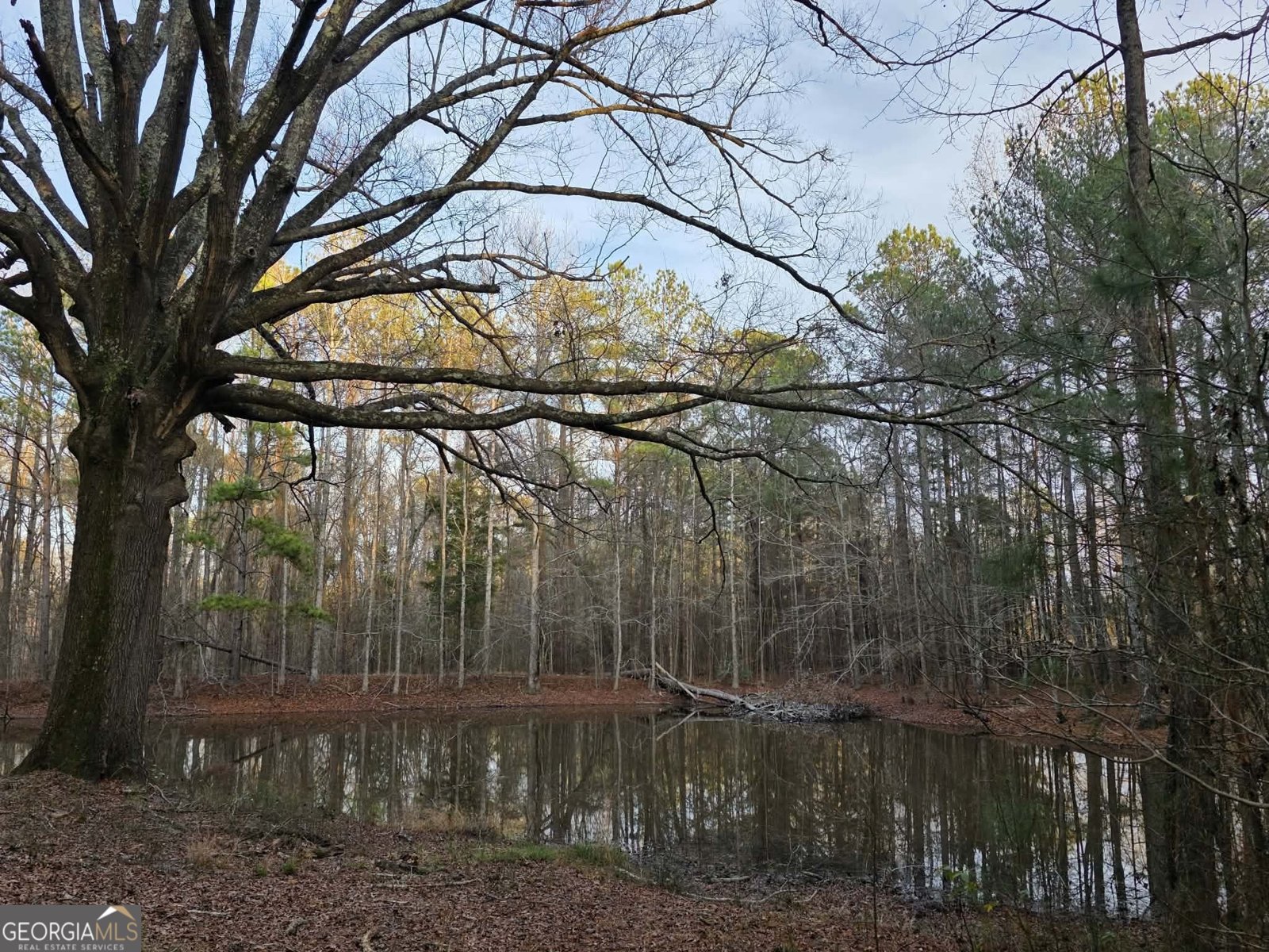 1330 Dunn Road Molena - Photo 56