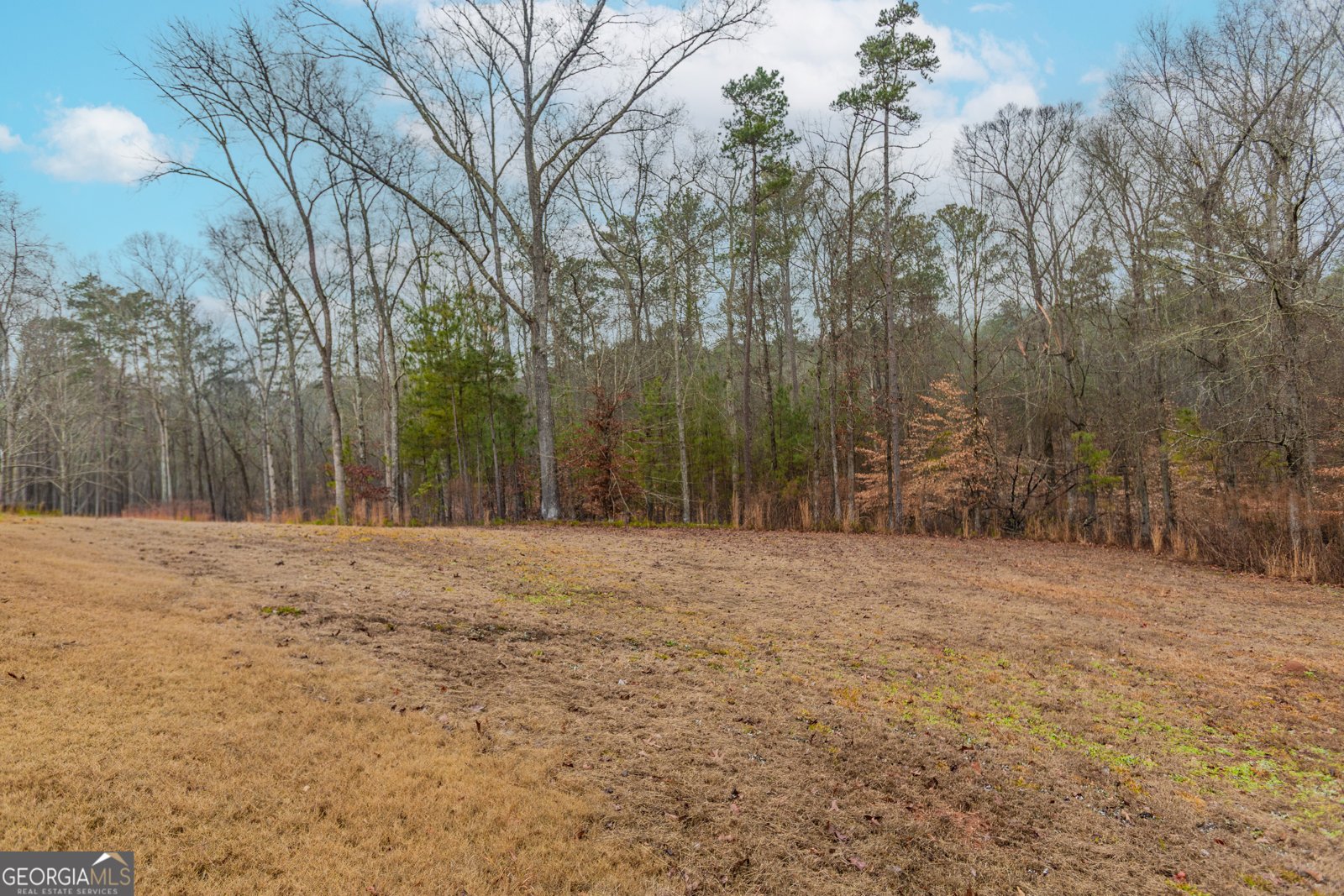 153 Shadyfield Lane Bishop - Photo 37