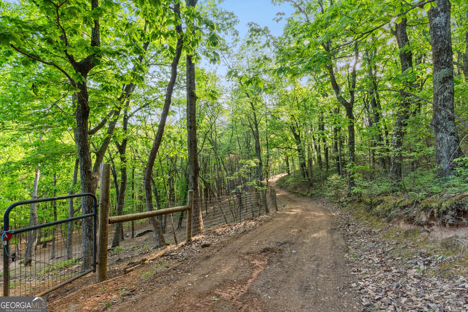 265 Lynda Lane Cleveland - Photo 6