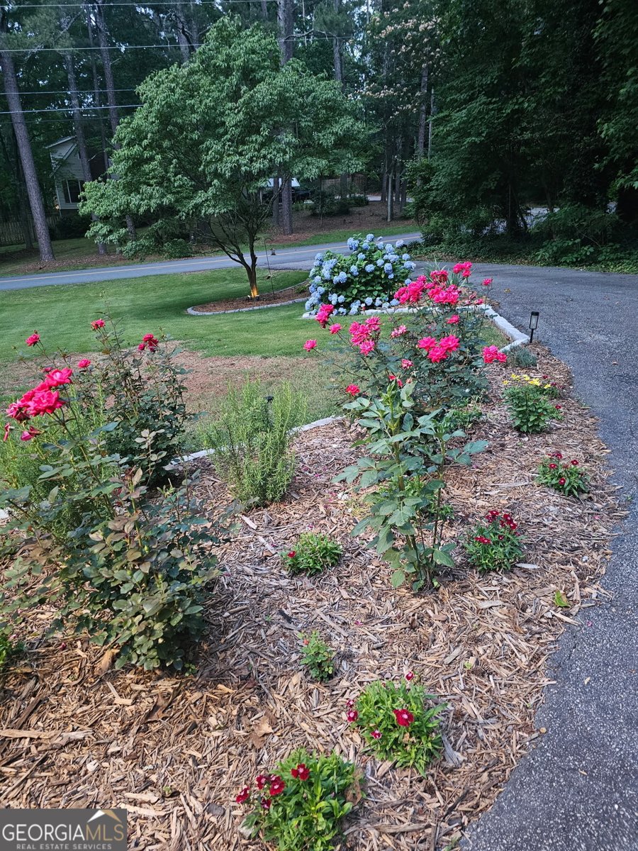 9 Hawthorne Drive Newnan - Photo 50