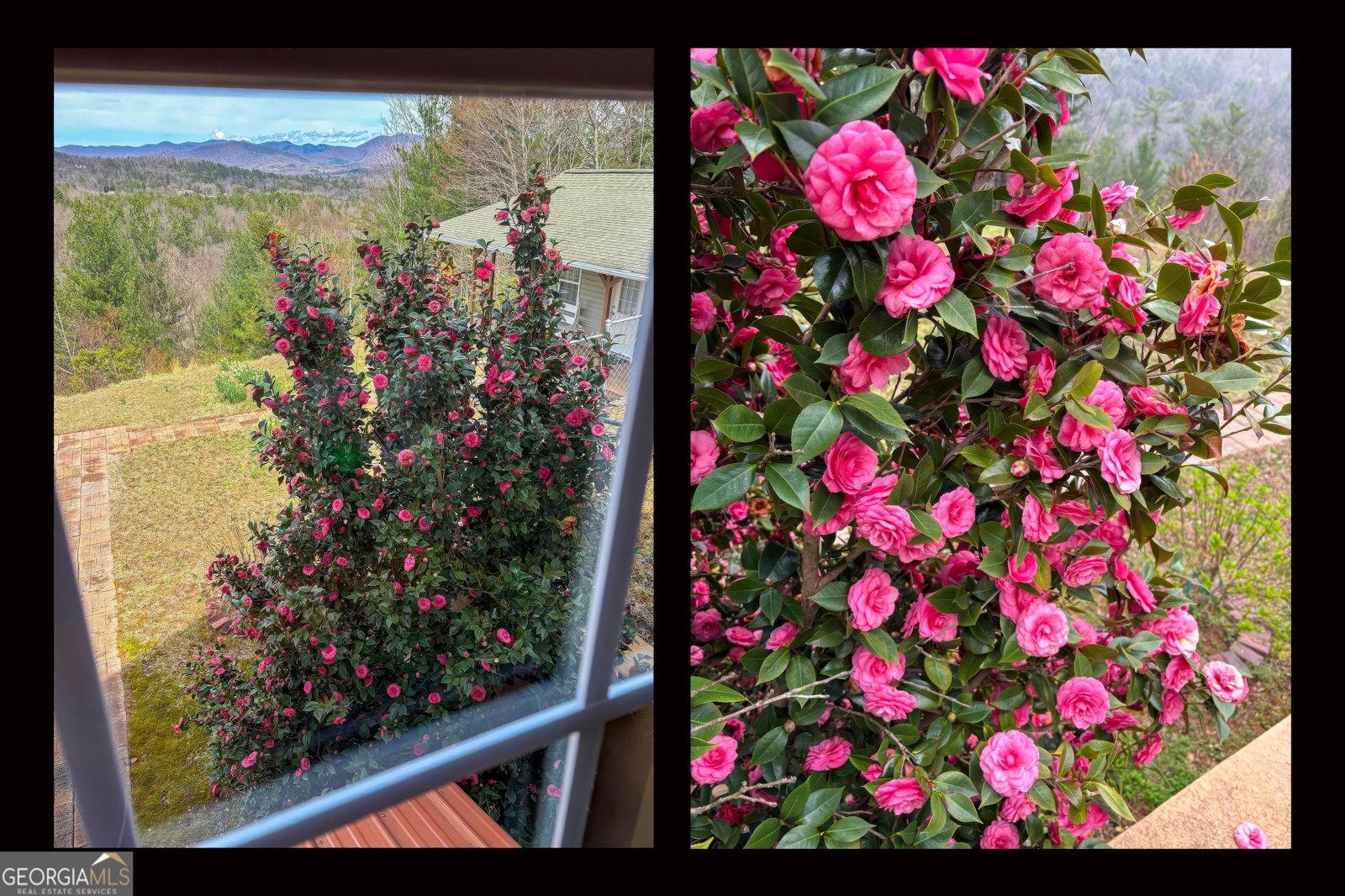 27 Sky High Drive Blairsville - Photo 65