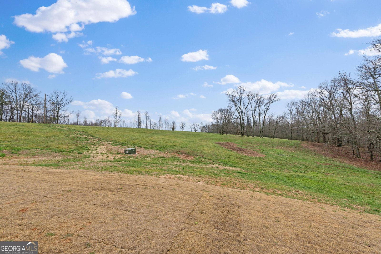 500 Welcome Road Roopville - Photo 19