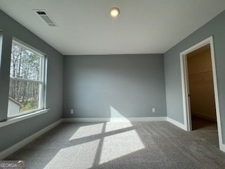 9 Foothills Trail Sharpsburg - Photo 102