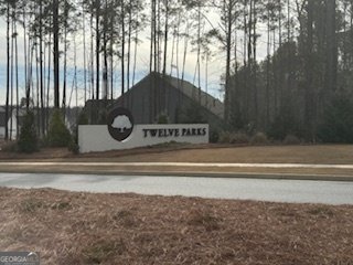 9 Foothills Trail Sharpsburg - Photo 105