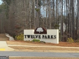 9 Foothills Trail Sharpsburg - Photo 45