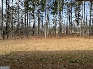 9 Foothills Trail Sharpsburg - Photo 75