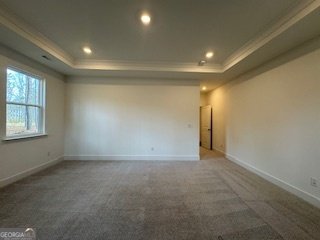 9 Foothills Trail Sharpsburg - Photo 82