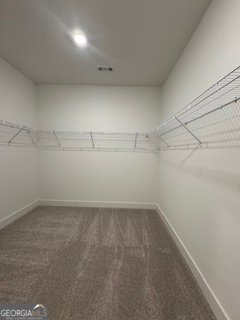 9 Foothills Trail Sharpsburg - Photo 87