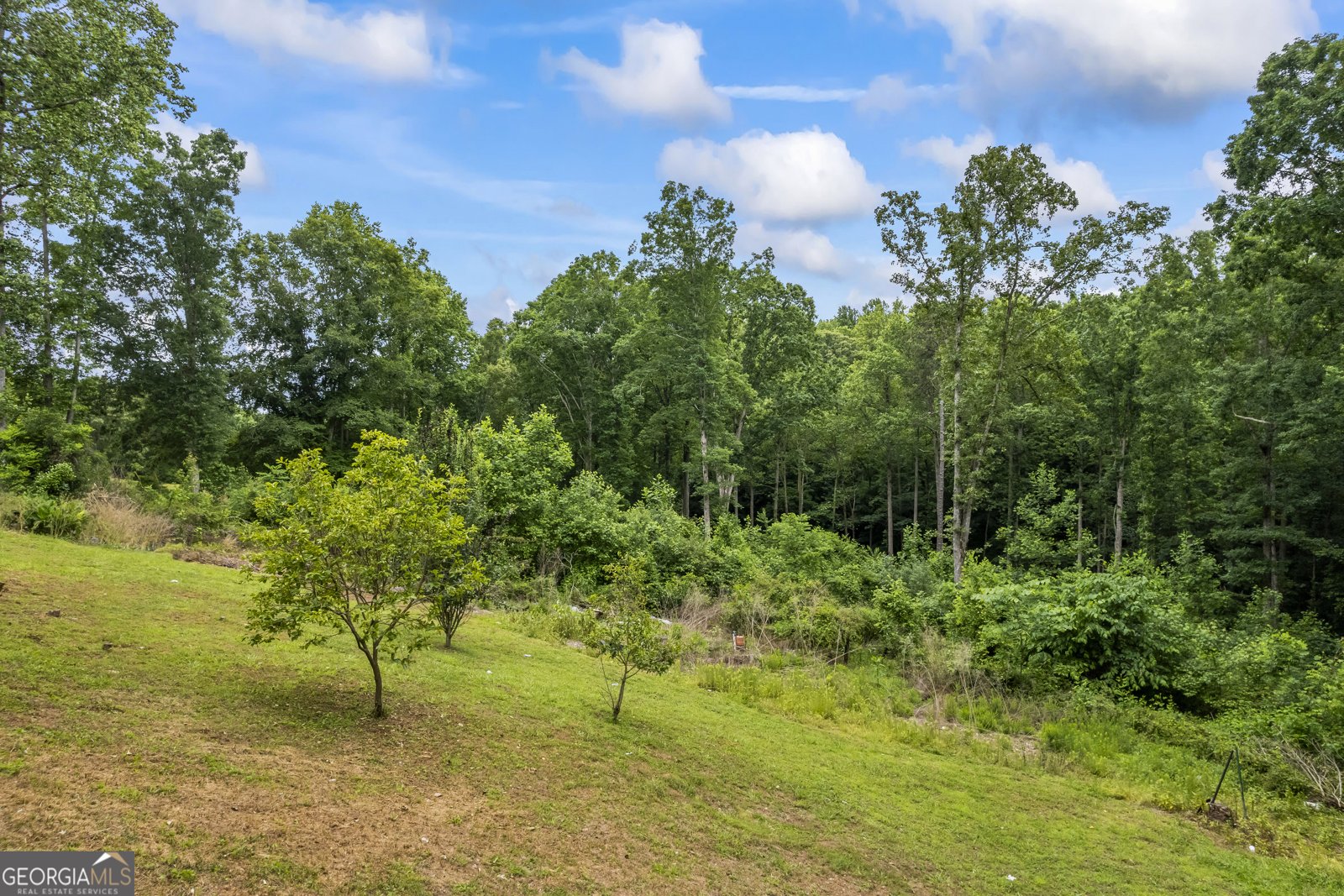 387 Lauren Marie Drive Braselton - Photo 63