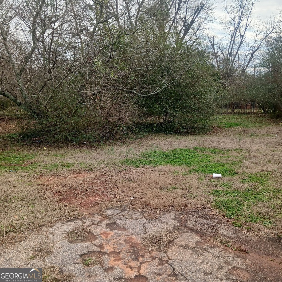 503 S. Lee Street Lagrange - Photo 9