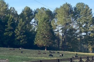 919 Arnold Bottoms Road Comer - Photo 10