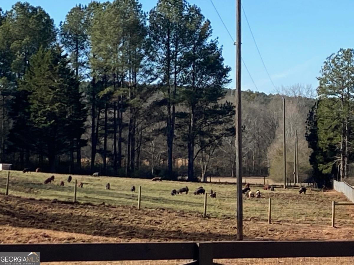 919 Arnold Bottoms Road Comer - Photo 54