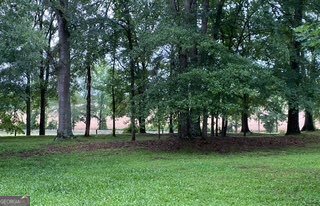 919 Arnold Bottoms Road Comer - Photo 55