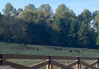 919 Arnold Bottoms Road Comer - Photo 8