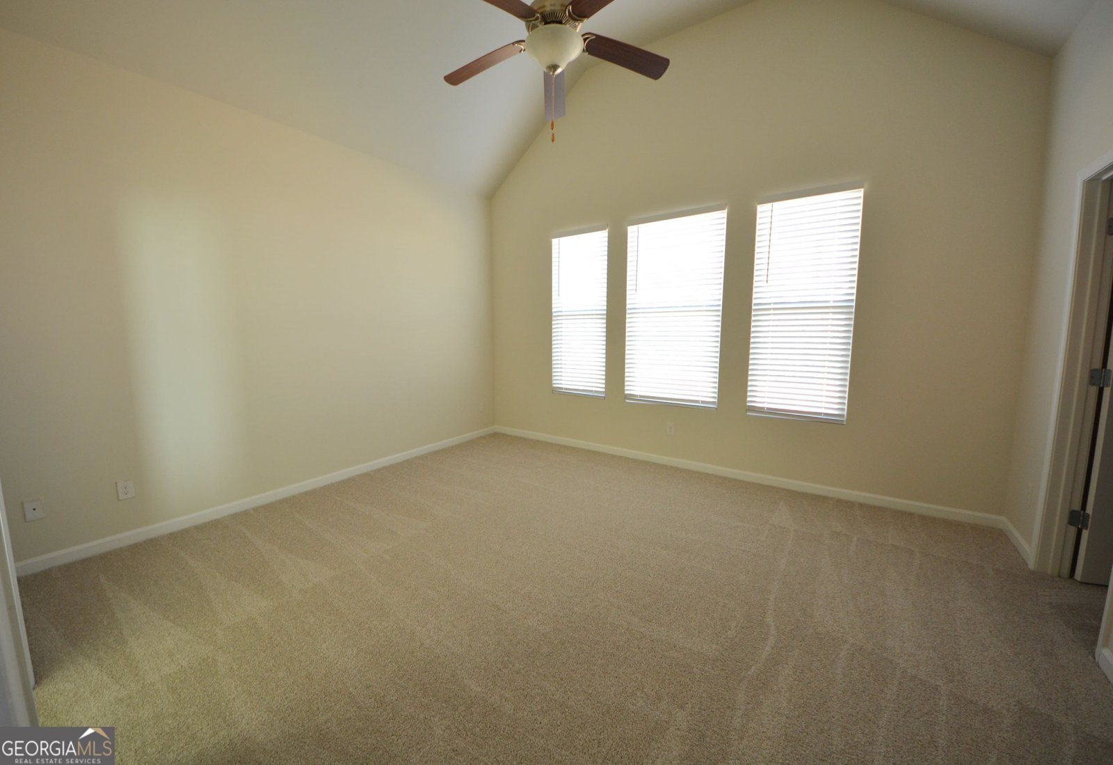 162 Daisy Circle McDonough - Photo 23