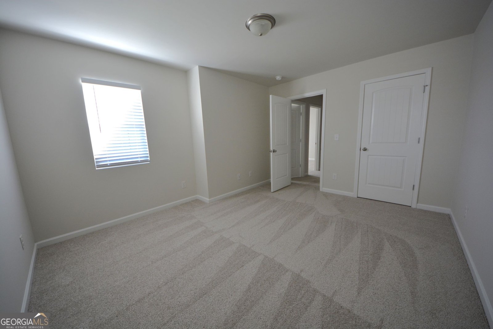 162 Daisy Circle McDonough - Photo 29