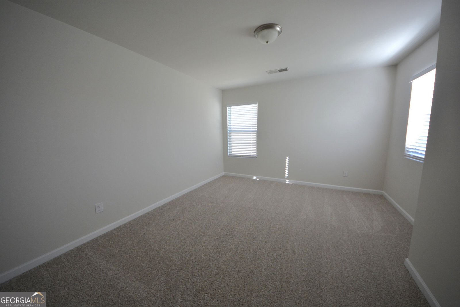 162 Daisy Circle McDonough - Photo 30