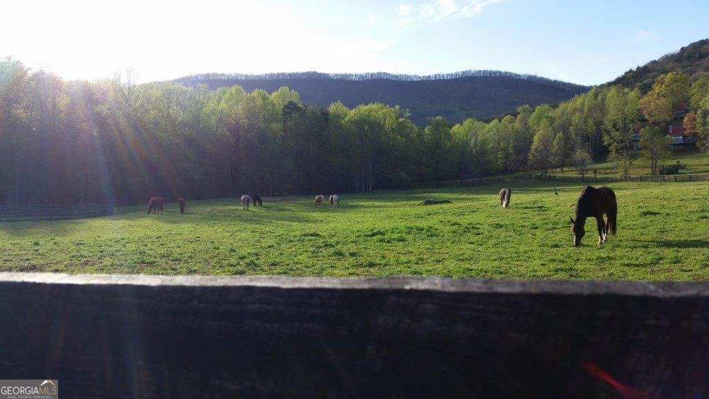 98 Canyon Pass Cleveland - Photo 32