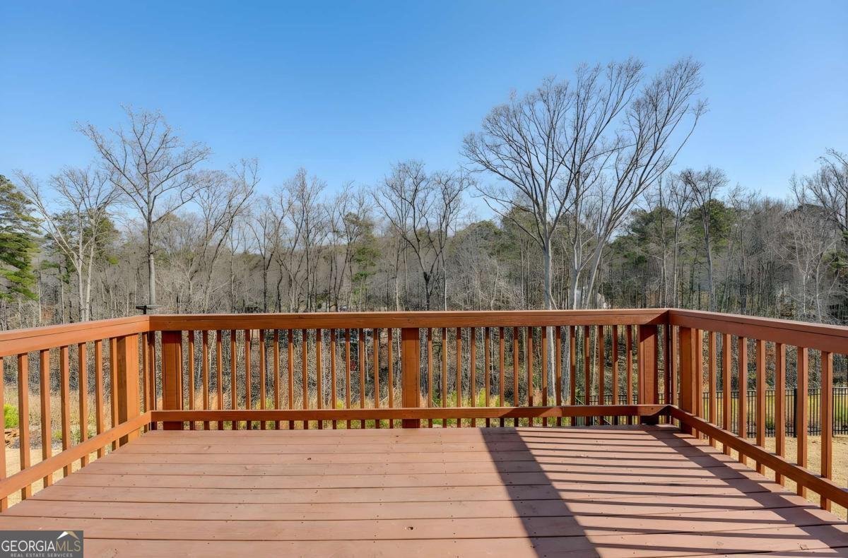 134 Spaulding Lane Woodstock - Photo 57