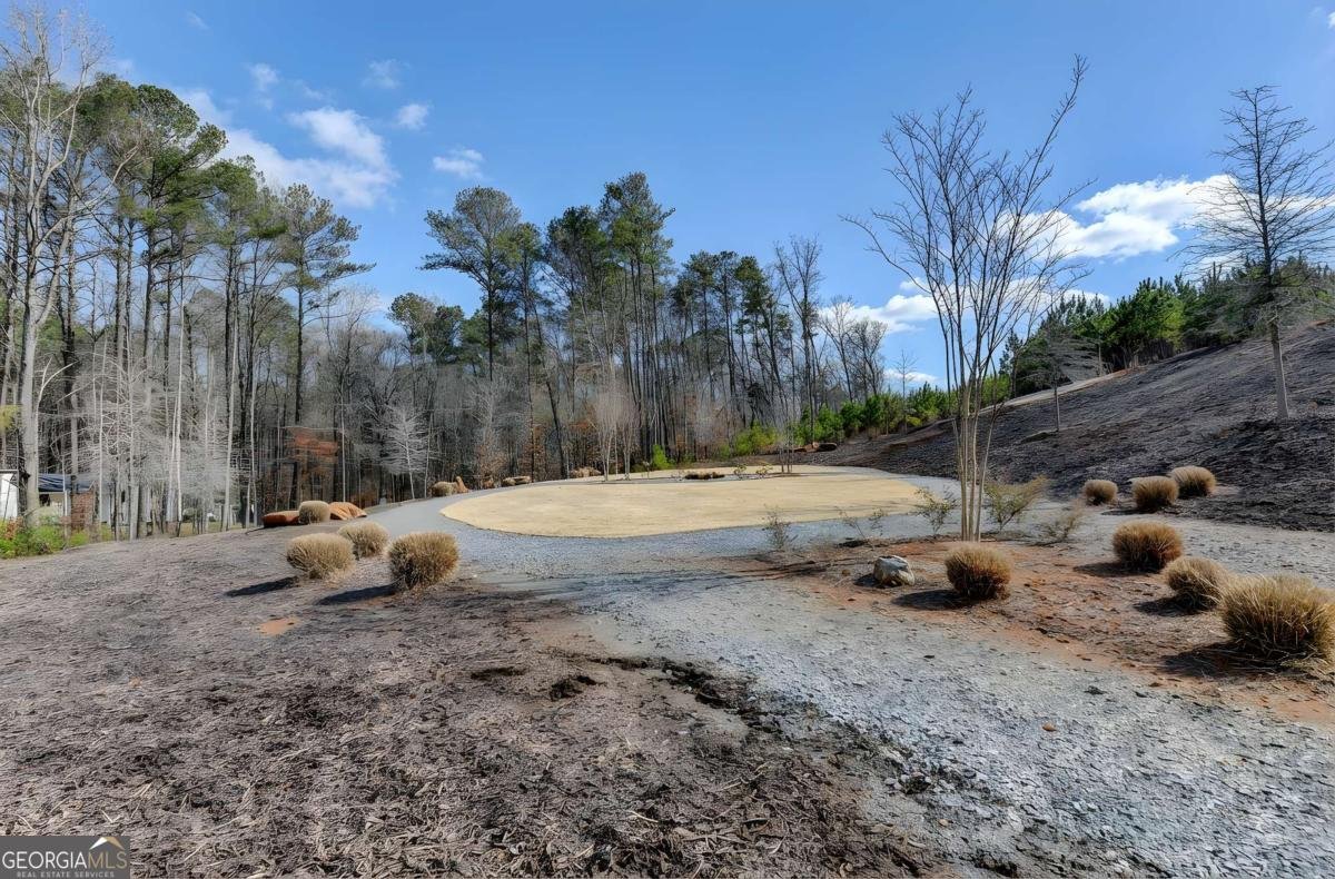 134 Spaulding Lane Woodstock - Photo 62