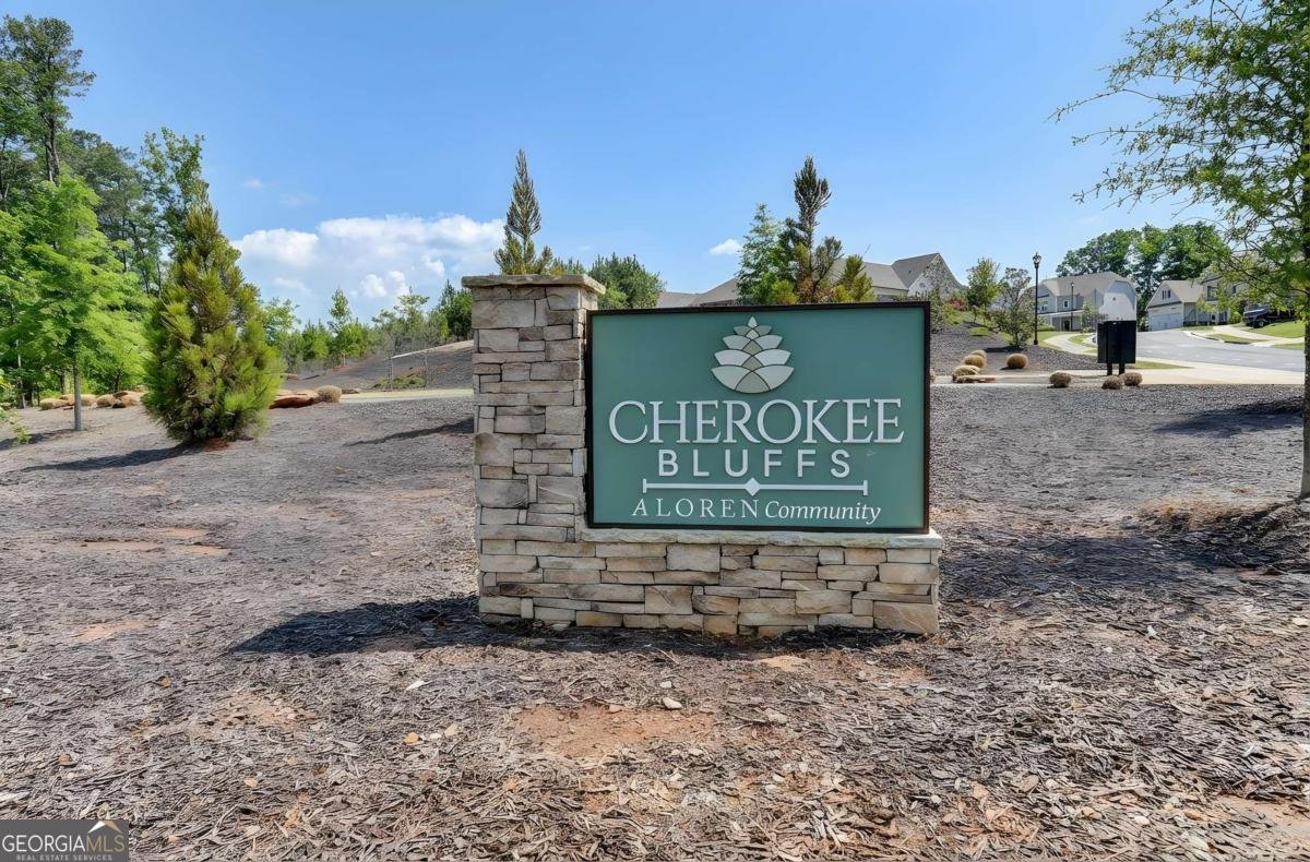 134 Spaulding Lane Woodstock - Photo 67