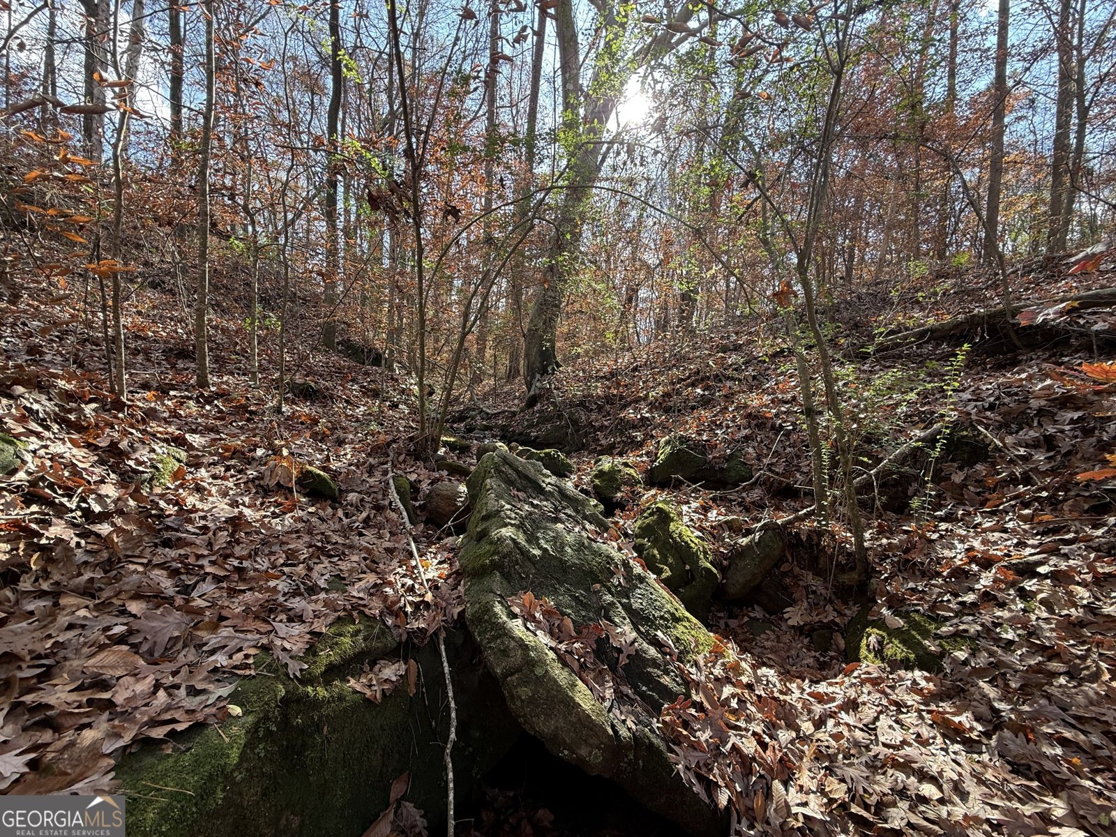 344 Mitchell Road Maysville - Photo 20