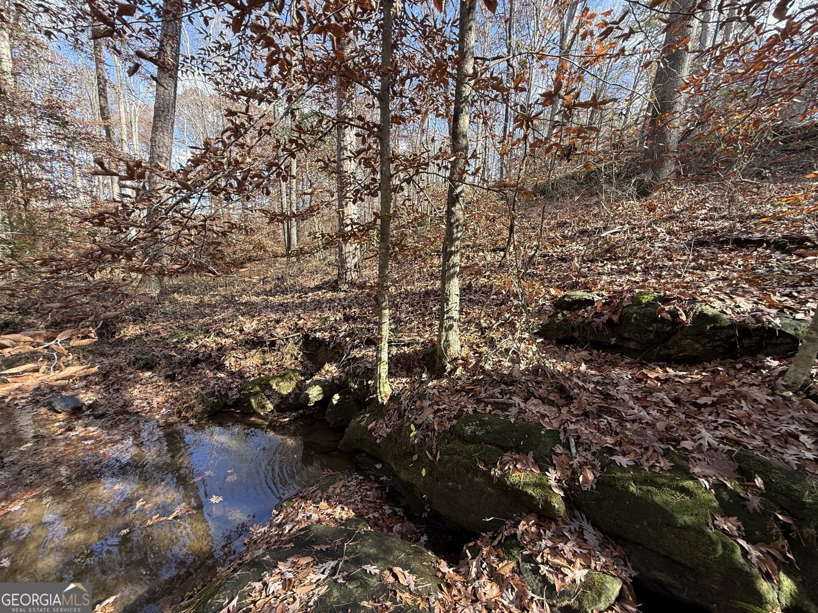 344 Mitchell Road Maysville - Photo 21