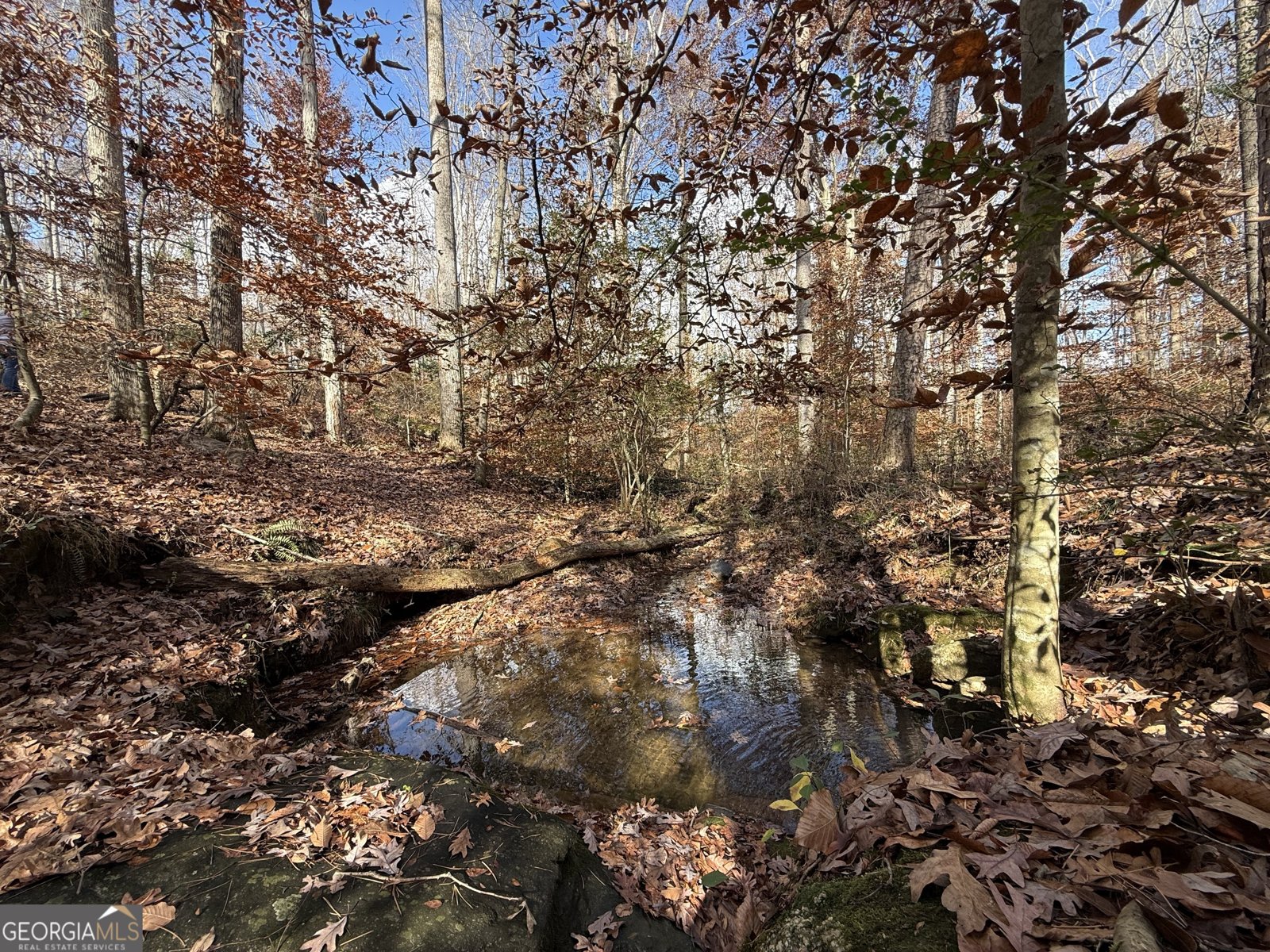 344 Mitchell Road Maysville - Photo 23