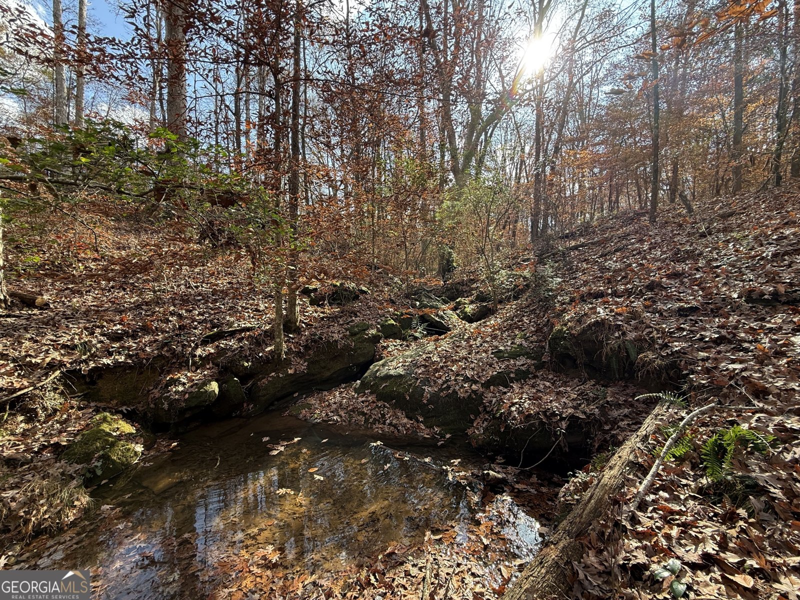 344 Mitchell Road Maysville - Photo 24