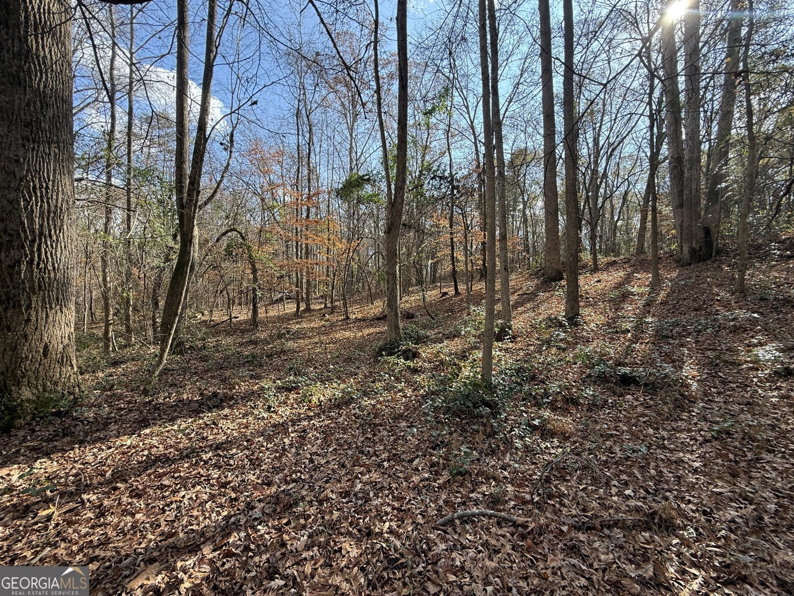 344 Mitchell Road Maysville - Photo 25