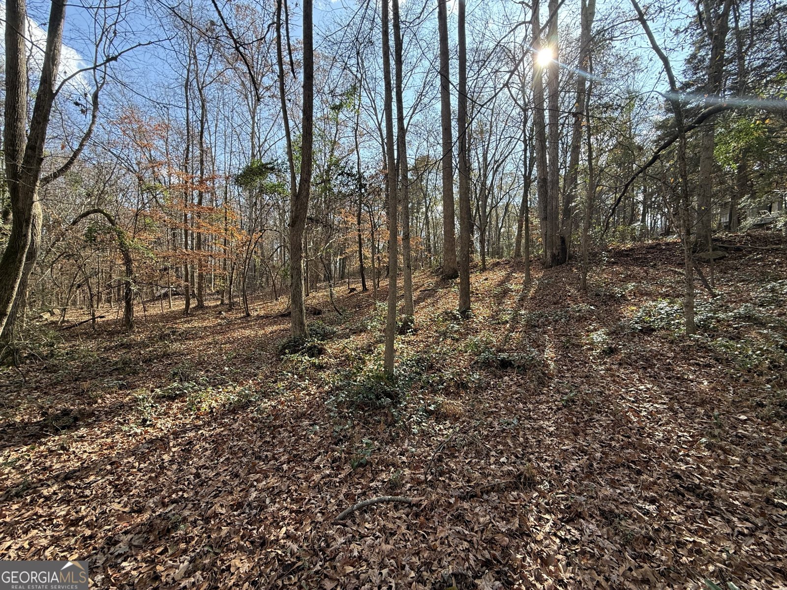 344 Mitchell Road Maysville - Photo 26