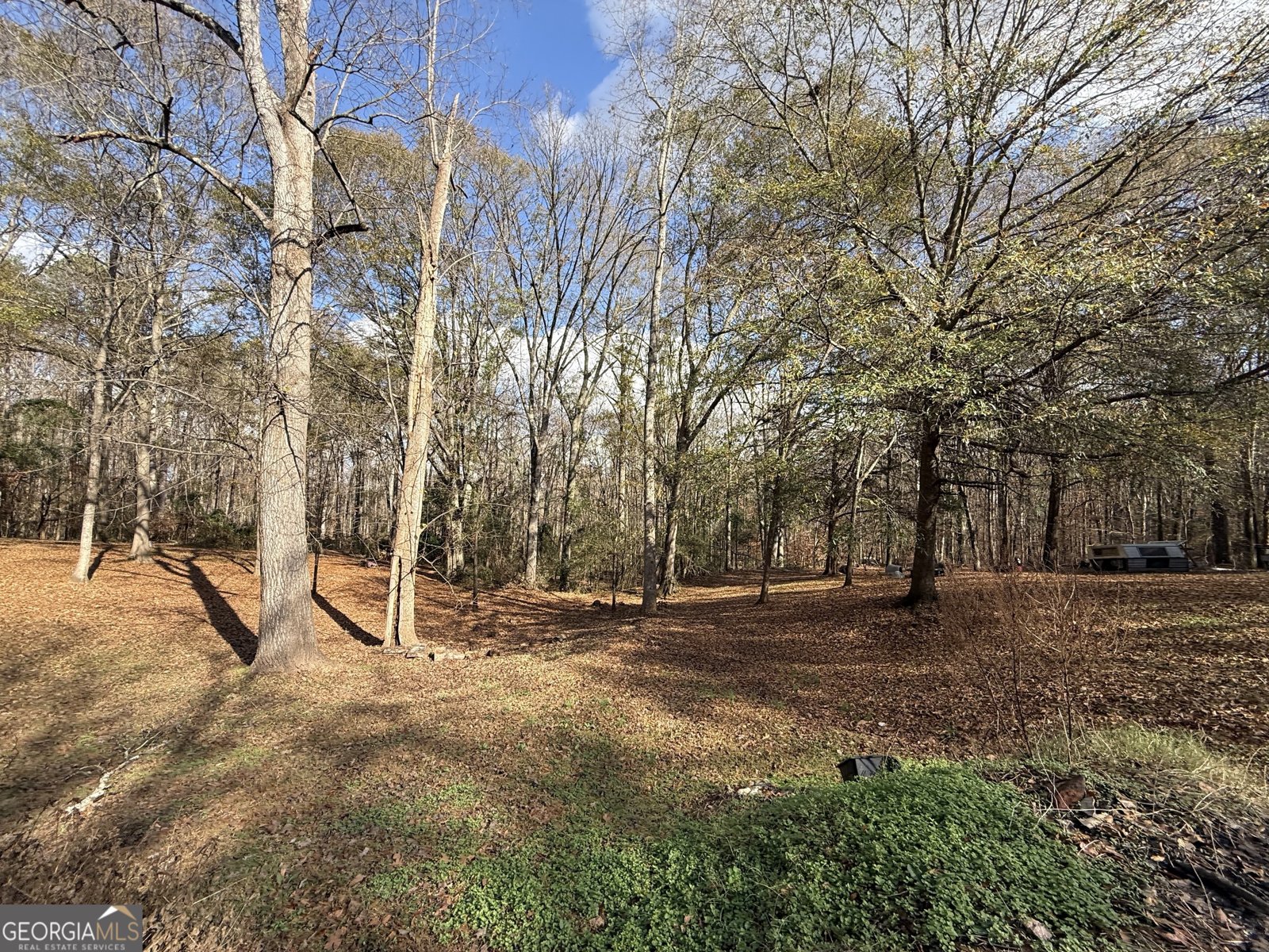 344 Mitchell Road Maysville - Photo 29