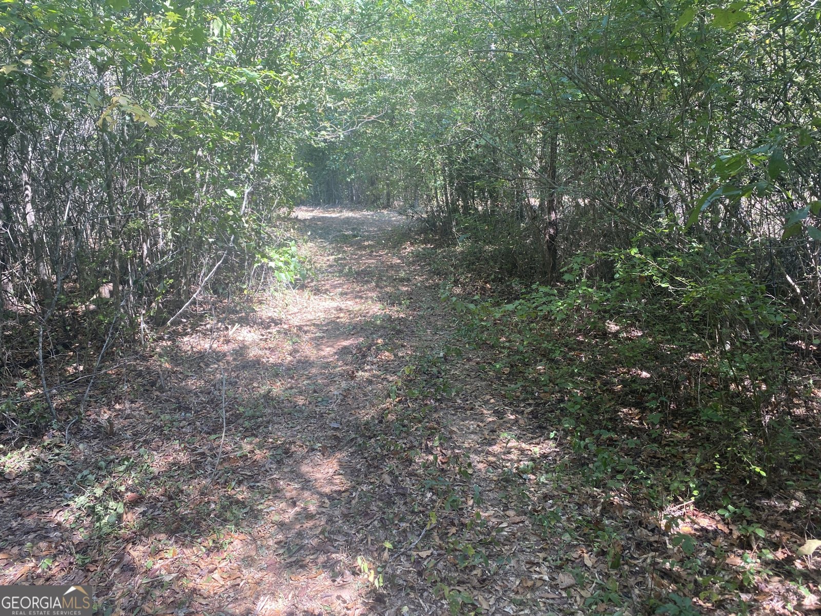 299 South L Street Pine Mountain Valley - Photo 30