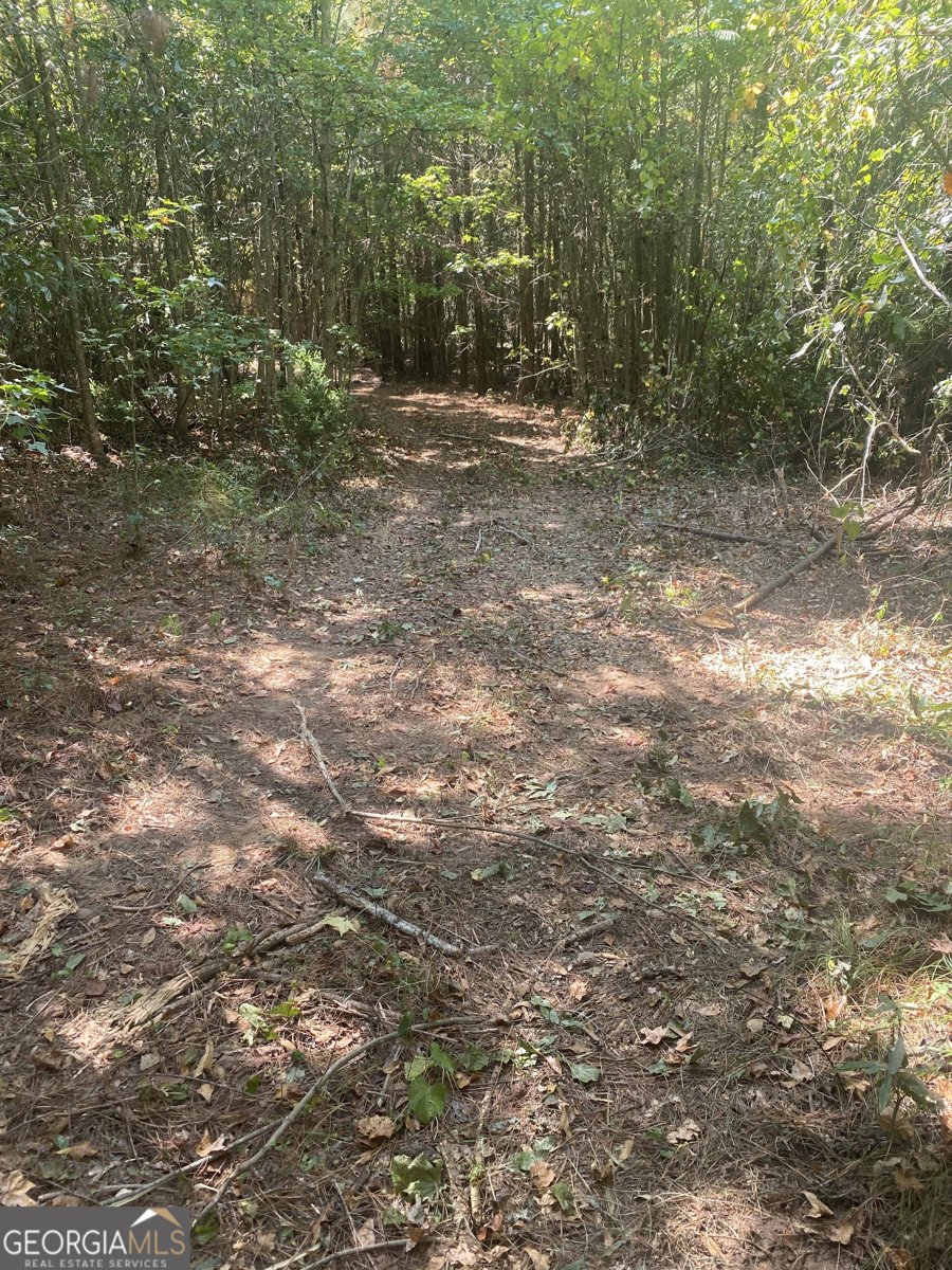 299 South L Street Pine Mountain Valley - Photo 32