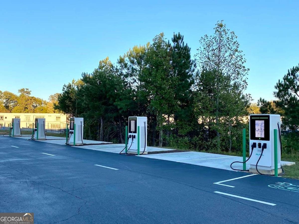 702 Joe Lane Cox Drive Dawsonville - Photo 29