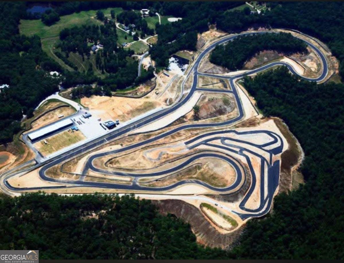 702 Joe Lane Cox Drive Dawsonville - Photo 6