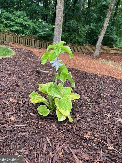 2915 Brookwater Drive Cumming - Photo 39