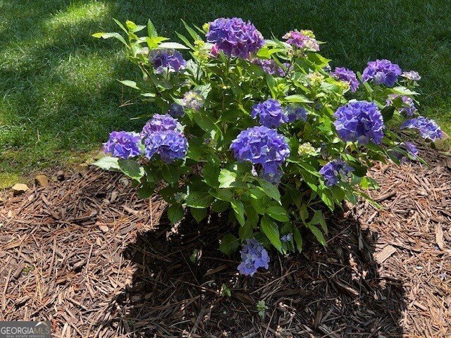 2915 Brookwater Drive Cumming - Photo 40