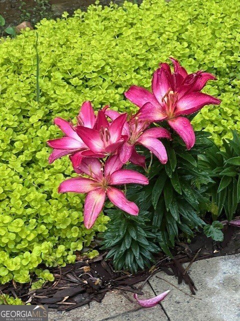 2915 Brookwater Drive Cumming - Photo 42