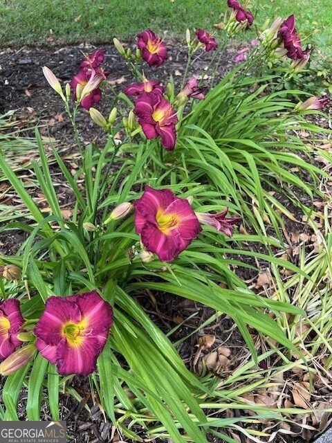 2915 Brookwater Drive Cumming - Photo 44