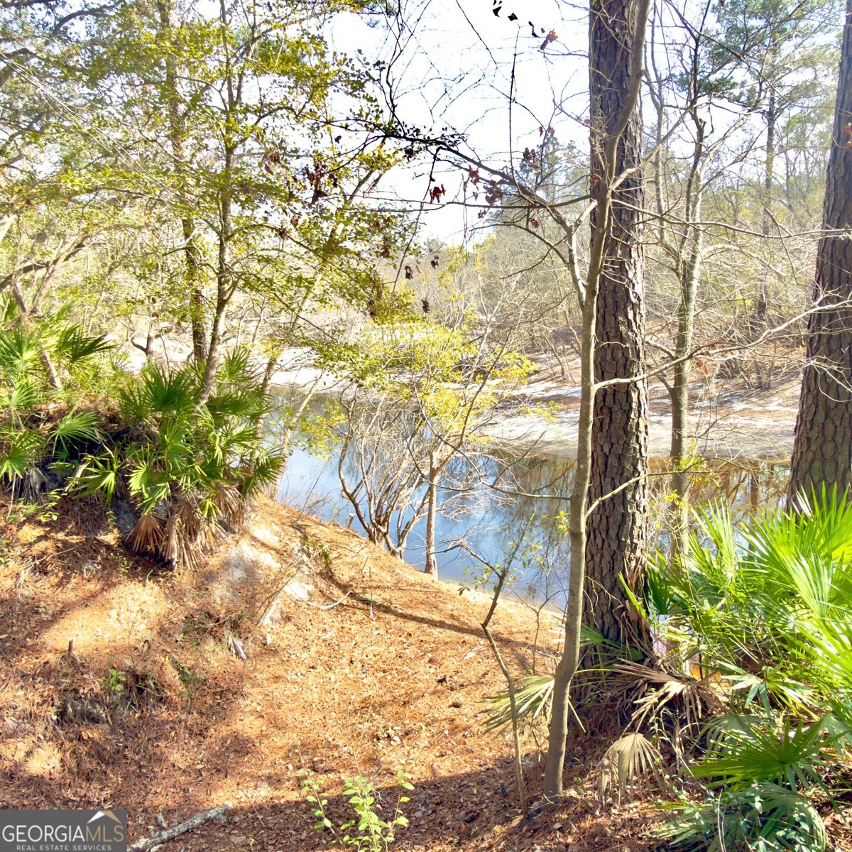 745 St Marys River Bluff Road St. George - Photo 27