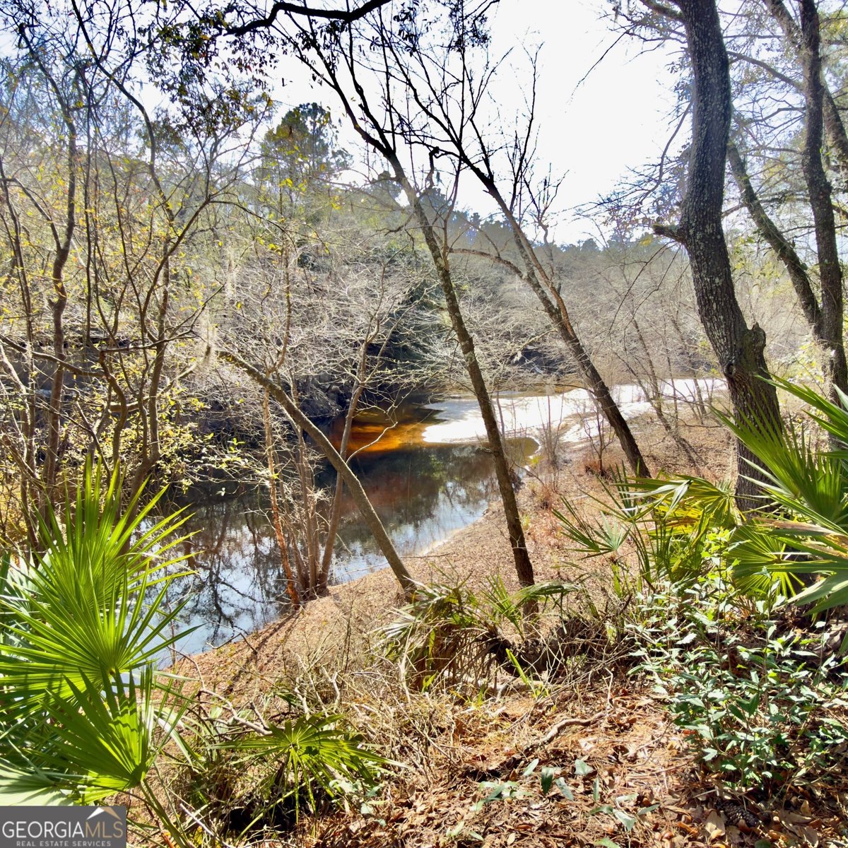 745 St Marys River Bluff Road St. George - Photo 28