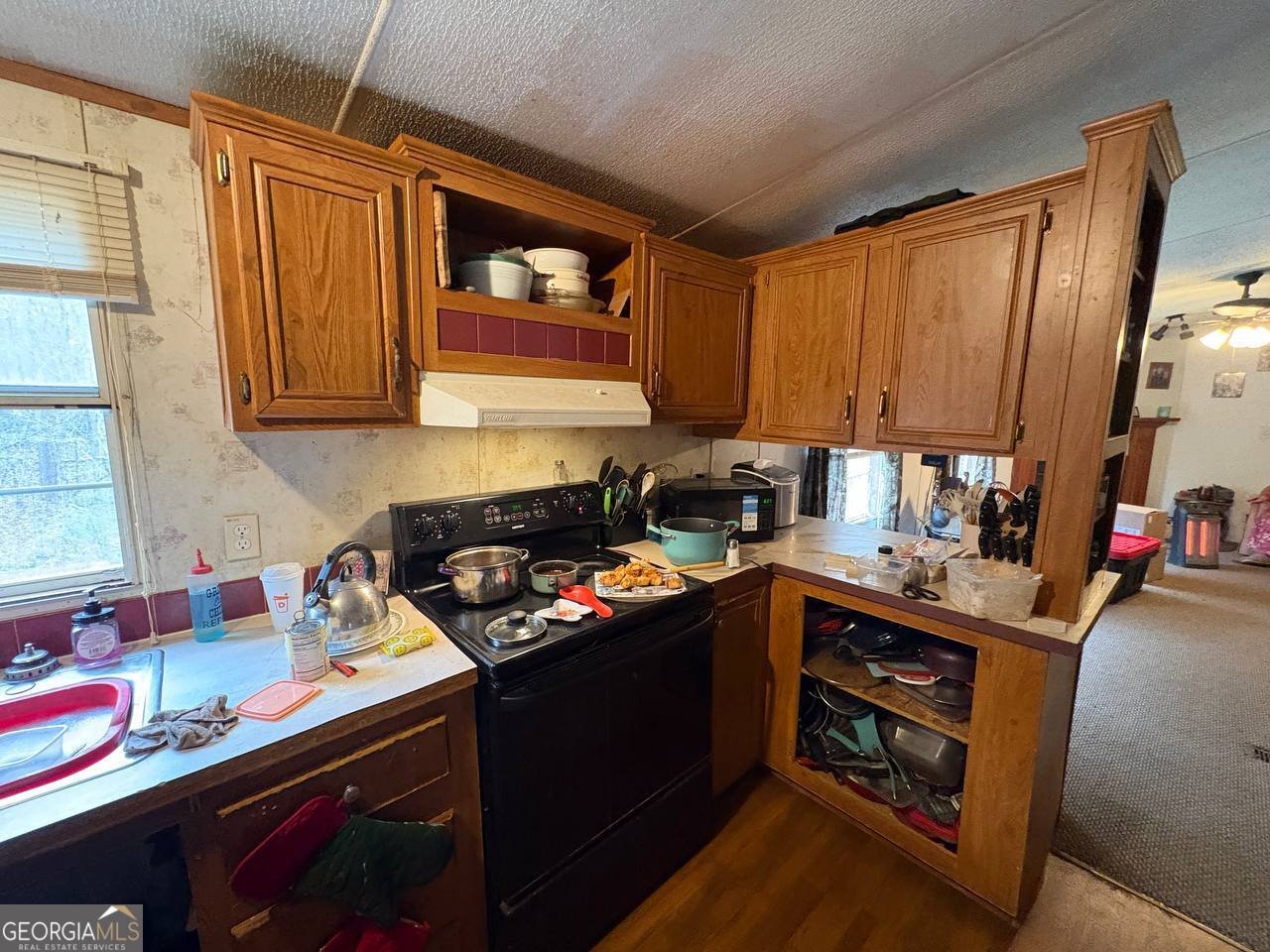 798 Williamson Road Tallapoosa - Photo 10