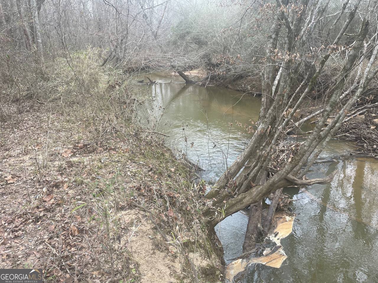 798 Williamson Road Tallapoosa - Photo 12