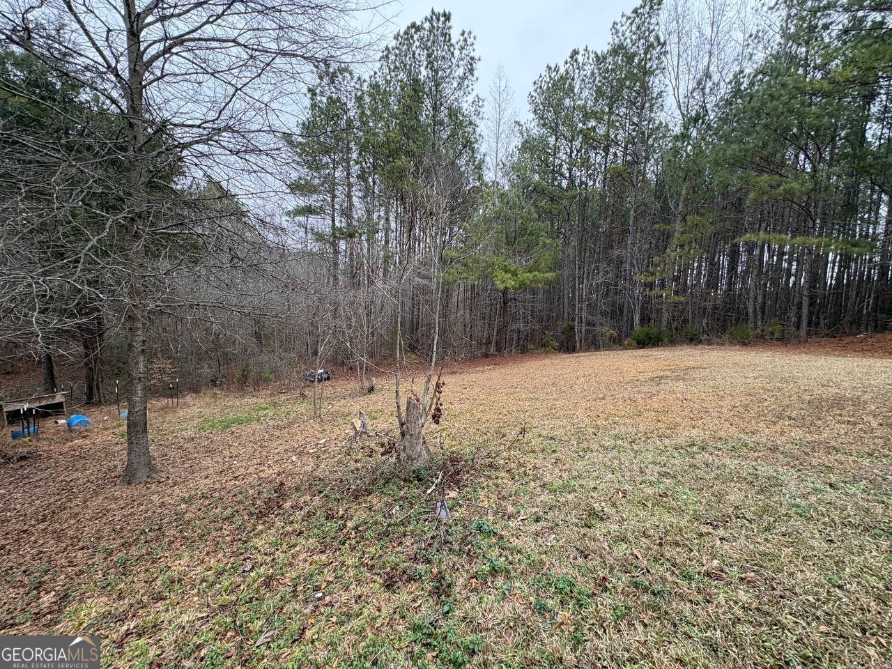 798 Williamson Road Tallapoosa - Photo 17