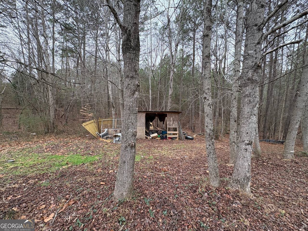 798 Williamson Road Tallapoosa - Photo 29