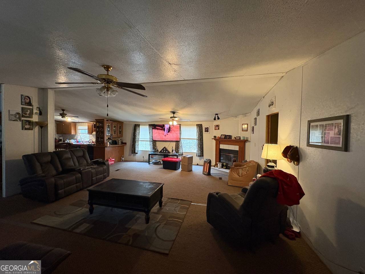 798 Williamson Road Tallapoosa - Photo 37