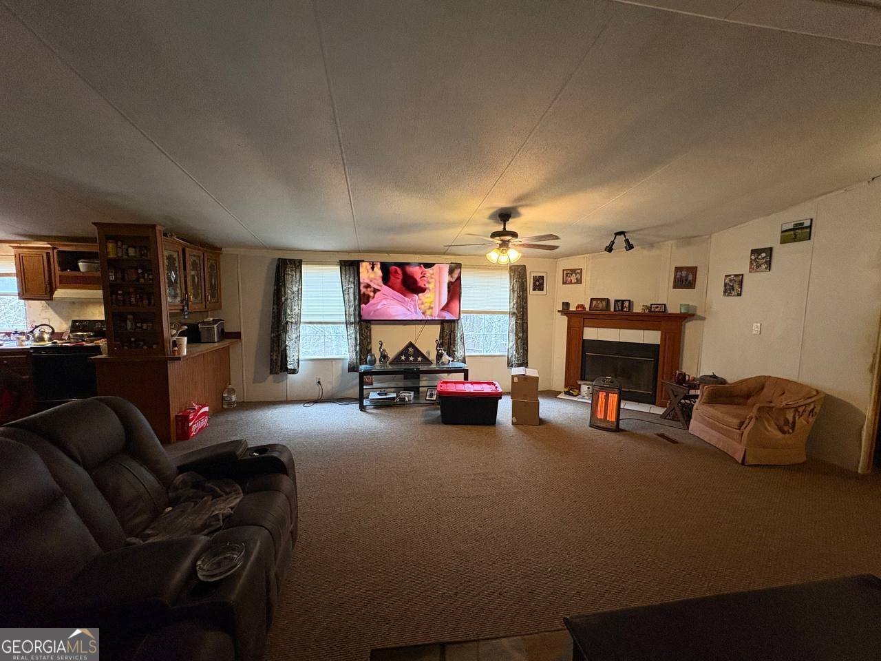 798 Williamson Road Tallapoosa - Photo 71