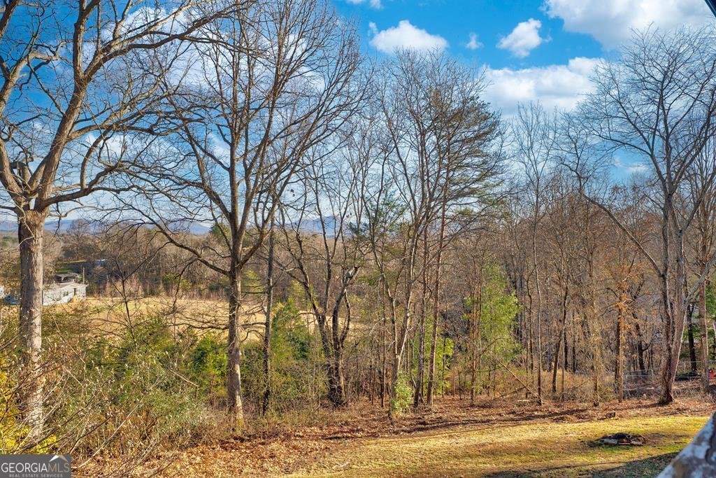 716 Lakeview Circle Morganton - Photo 46