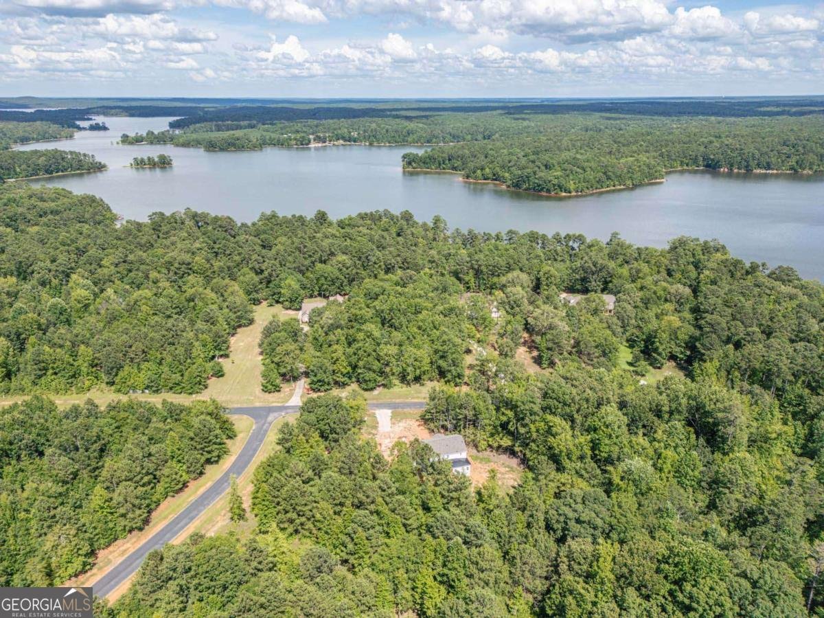 1021 Pointe Tignall - Photo 45